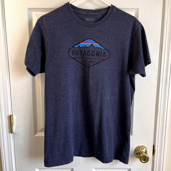 Patagonia Other - Patagonia T-shirt Size Large (Slim Fit) Blue with Classic Logo on Front Ventura